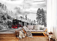 Флизелиновые фотообои природа лес 254 x 184 см Транспорт Поезд Черно-Белый Паровоз (13010V4)+клей
