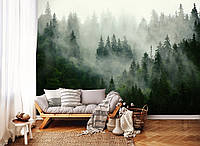 Флизелиновые 3д фото обои Природа Пейзаж 368 x 254 см Зеленый туманный лес (13026V8)+клей