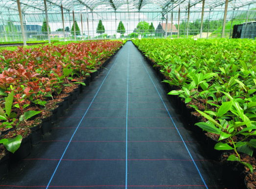 Агротканина Basic п/п 1,05х100м 100г/м2, чорна (Індія)