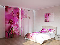 Фотокомплект розовая орхидея