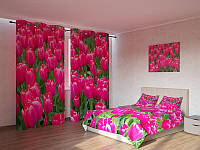 Фотокомплект розовые тюльпаны