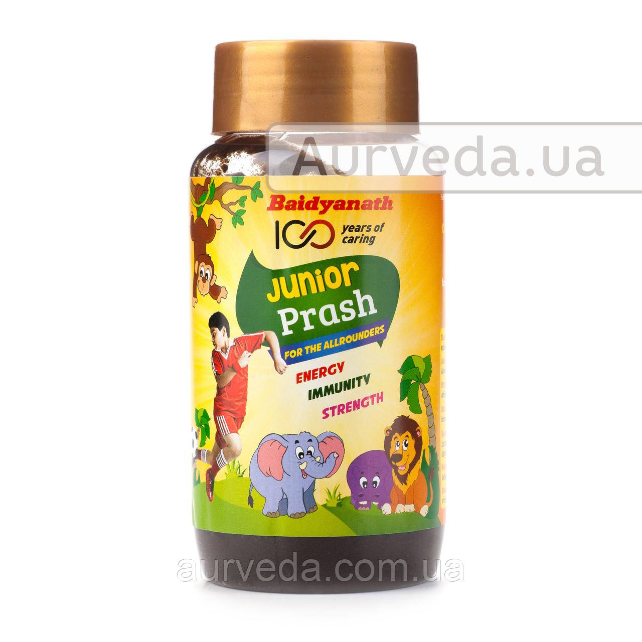 Чаванпраш 500 г Байд'янатх (Junior Prash Baidyanath) для дітей