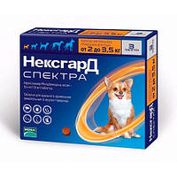 NexGard Spectra таблетка від бліх і кліщів для собак від 2-3,5 кг (ХS)- 1 таб.