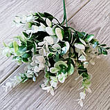 Куст евкаліпта велика біло-зелена — 80 грн (6 гілочок 20 см), фото 2