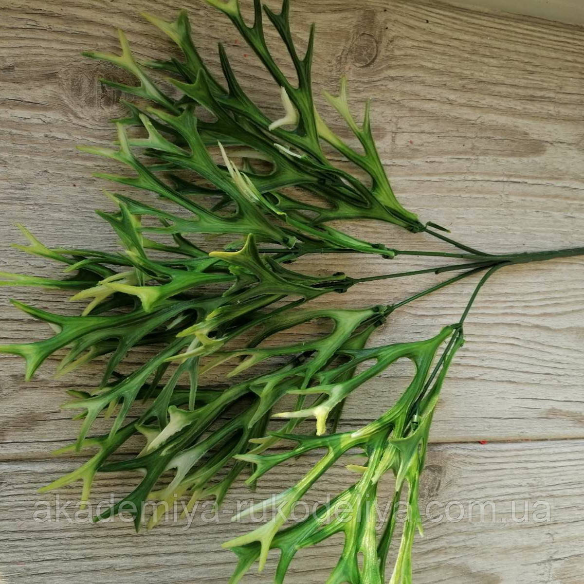 Кущ оленячі роги, 37 см, 5 гілок. Зелений