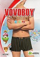 Дитячі боксери х/б "Vovoboy" ТДБ-2913