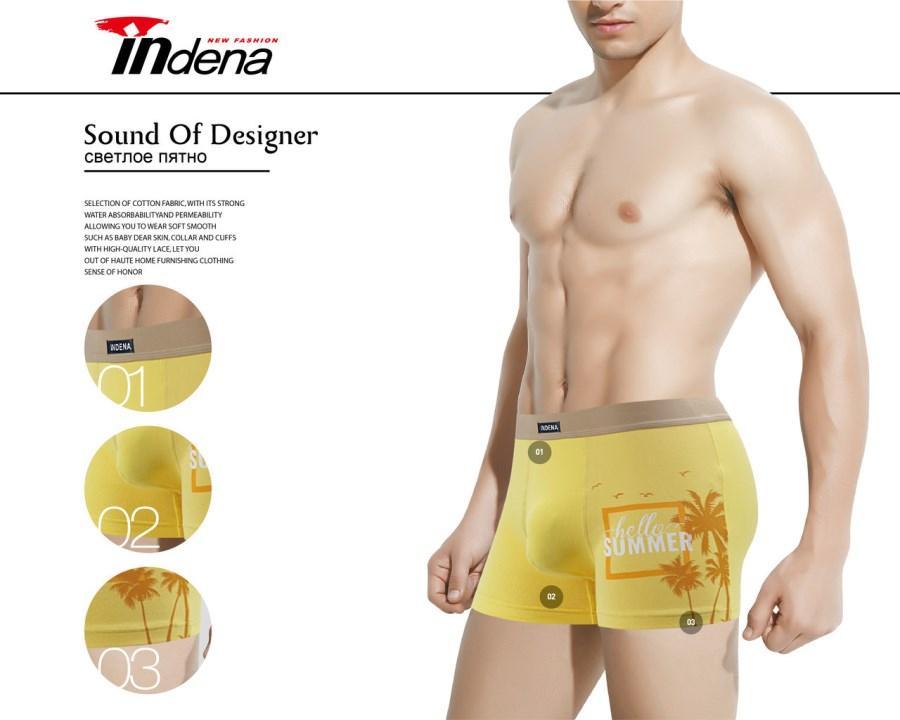 Труси чоловічі боксери стрейчеві х/б Indena underwear 92% бавовна / 8% еластан ТМБ-181160