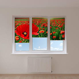 Рулонні штори з фотодруком маки