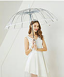 Парасоля жиноча прозора ТОП ПРОДАЖА ЗОНТ жіночий прозорий ЯКІСТЬ, фото 4