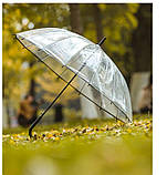 Парасоля жиноча прозора ТОП ПРОДАЖА ЗОНТ жіночий прозорий ЯКІСТЬ, фото 5