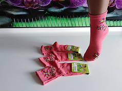 Шкарпетки дитячі демісезонні модель Квіти