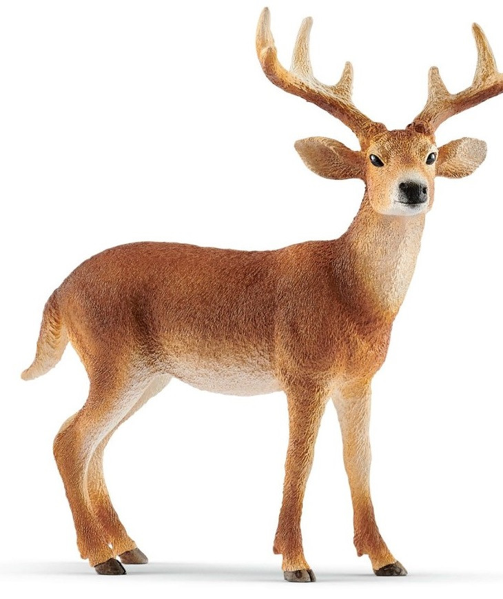 Іграшка-фігурка Білохвостий олень-самець Schleich 14818