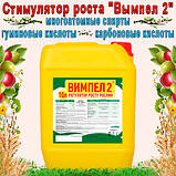 Вимпел-2 - Стимулятор росту рослин, Захист від хвороб, морозів, посухи, +30% до Врожайності, фото 2