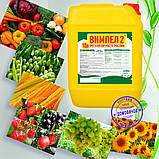 Вимпел-2 - Стимулятор росту рослин, Захист від хвороб, морозів, посухи, +30% до Врожайності, фото 5