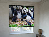 Рулонные шторы с фотопечатью смешные панды