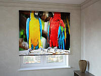 Рулонные шторы с фотопечатью цветные попугаи 3д