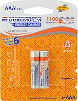 Акумулятор ENERGY CHARGE NH-AAA1100 (blister 2)