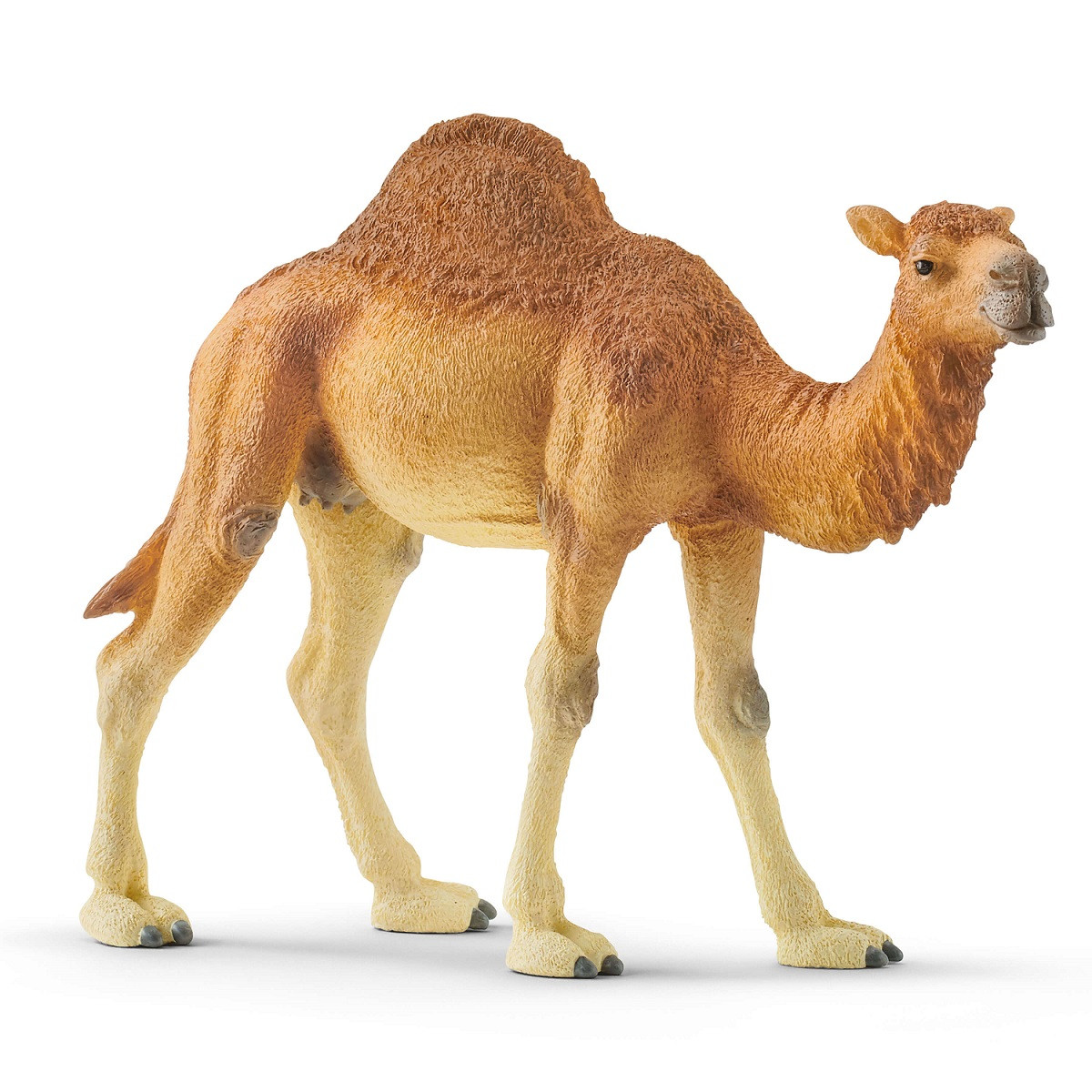 Іграшка-фігурка Одногорбий верблюд Дромедар Schleich 14832