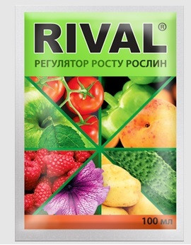 Регулятор росту Rival (Рівал, Гумат), 100 мл, Кіссон
