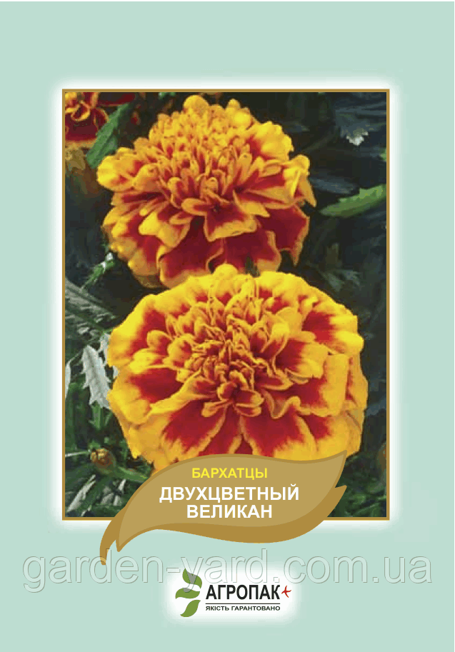 Насіння чорнобривці Двоколірний Велетень 0,5г. Агропак плюс