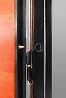 Вхідні металеві двері Стрімекс серії GOLD - Натуральний шпон червоного дерева, позолочені молдинги з нержавійки і кращі італійські замки Mottura все це втілилося у вишуканому дизайні даної двері.