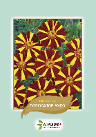 Насіння чорнобривці Смугасте диво  0,5 г. Агропак плюс