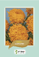 Насіння чорнобривці Фантастік Агропак плюс