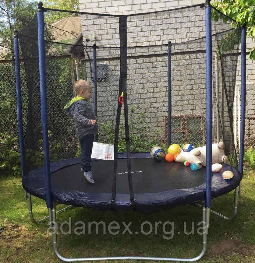 Батут Maxx Pro 252 см з сіткою і драбинкою, фото 1