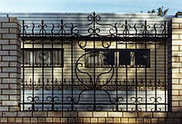 Ковані паркани для приватних будинків