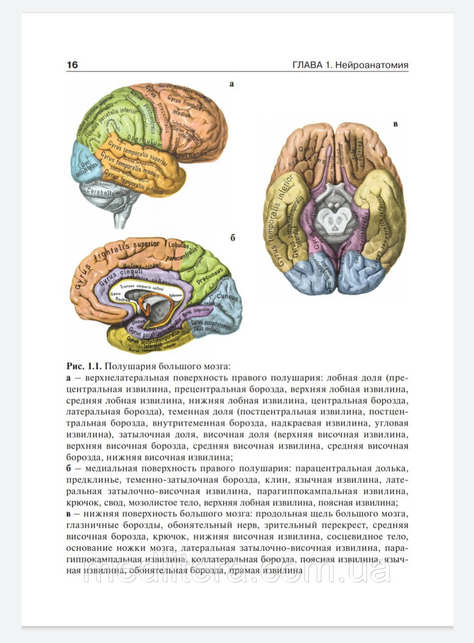 Петрухин А.С. Детская Неврология. Учебник В 2-Х Томах. (ID.