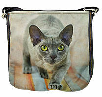 Джинсова сіра сумка з котом Девон Рекс 3