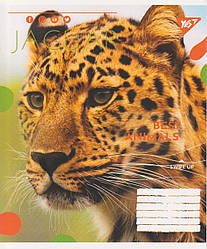Зошит 18 аркушів клітинка "Animal" 764975