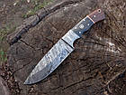 Ніж мисливський з дамаської сталі З-217, фото 2