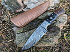 Ніж мисливський з дамаської сталі З-217, фото 4