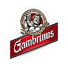 Пиво світле Gambrinus Original 10 ж/б 0,5 л Словаччина (24 шт./1 ящ), фото 3