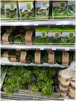 Технічні умови ТУ України для мікрозелені та їстівних квітів. Технічні умови ТУ України мікрозелень