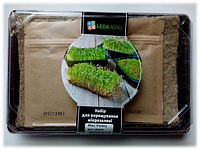 Набір для вирощування мікрозелені СПАЙСІ (гірчиця, руккола, крес-салат)