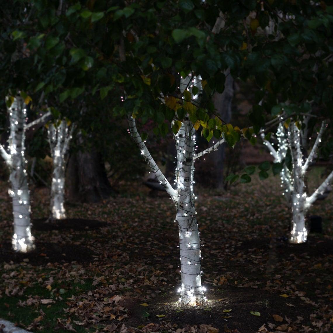 Гірлянда на сонячній батареї 100 LED колір Холодний Білий
