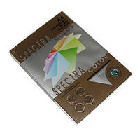 Бумага Spectra Color А4 80г/м2 100 листов темно-коричневый ,43А