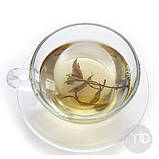 Чай білий елітний Білі Сльози Дракона розсипний китайський чай 100 г, фото 6