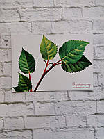 Підкладка декоратична З найкращими побажаннями (гілка троянди) картон 10 см на 14,2 см