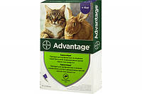 Bayer Advantage Краплі від бліх для котів понад 4 кг - 1 пип.