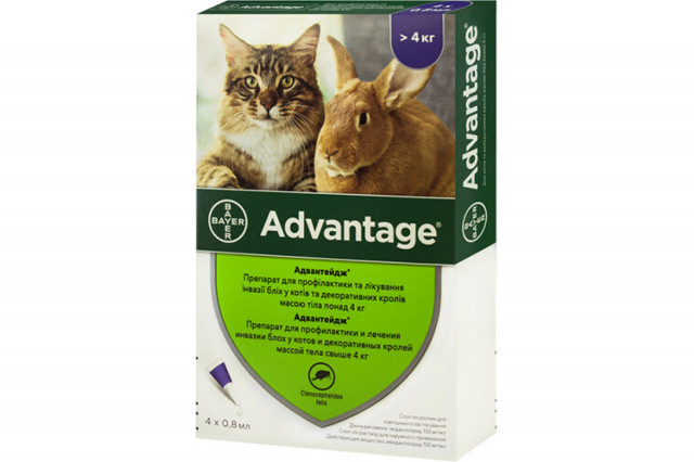 Bayer Advantage Краплі від бліх для котів понад 4 кг - 1 пип.