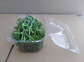 Контейнери для упаковки мікрозелені на зріз