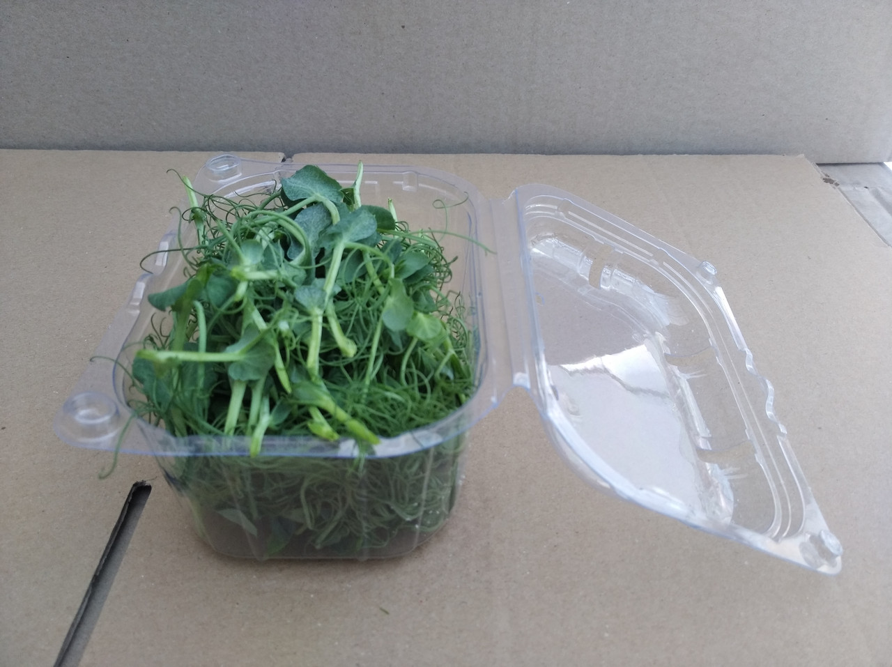 Контейнери для упаковки мікрозелені на зріз, фото 1