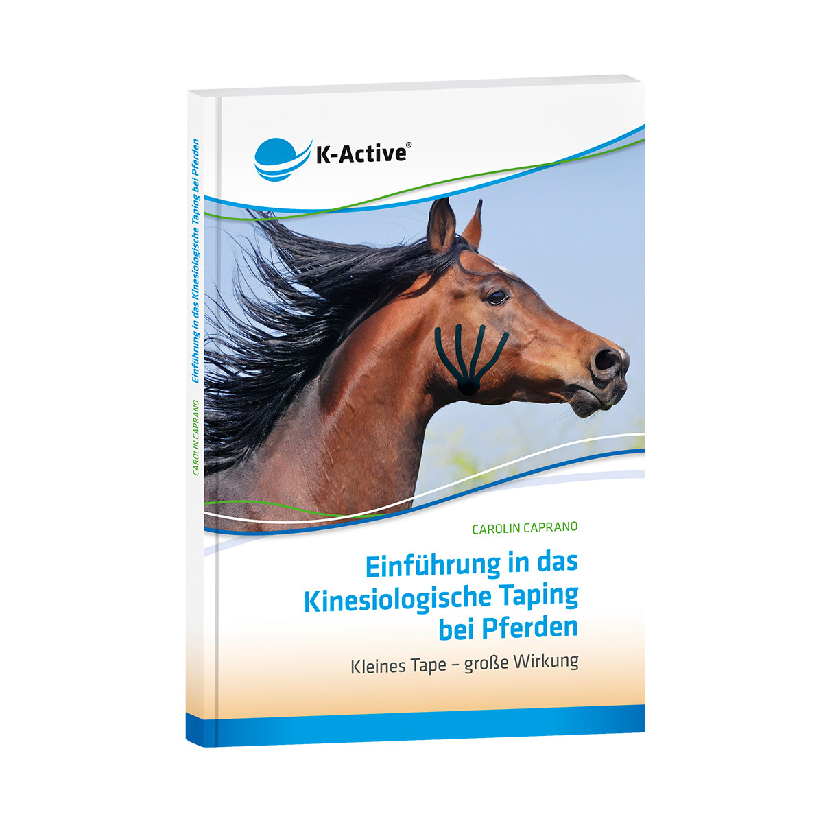 Книга "Introduction to the Equine kinesiology taping method" англійською мовою