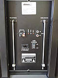 Колонка акумуляторна з мікрофоном ZPX ZX-7766 200W (Bluetooth/USB/FM/TWS), фото 7