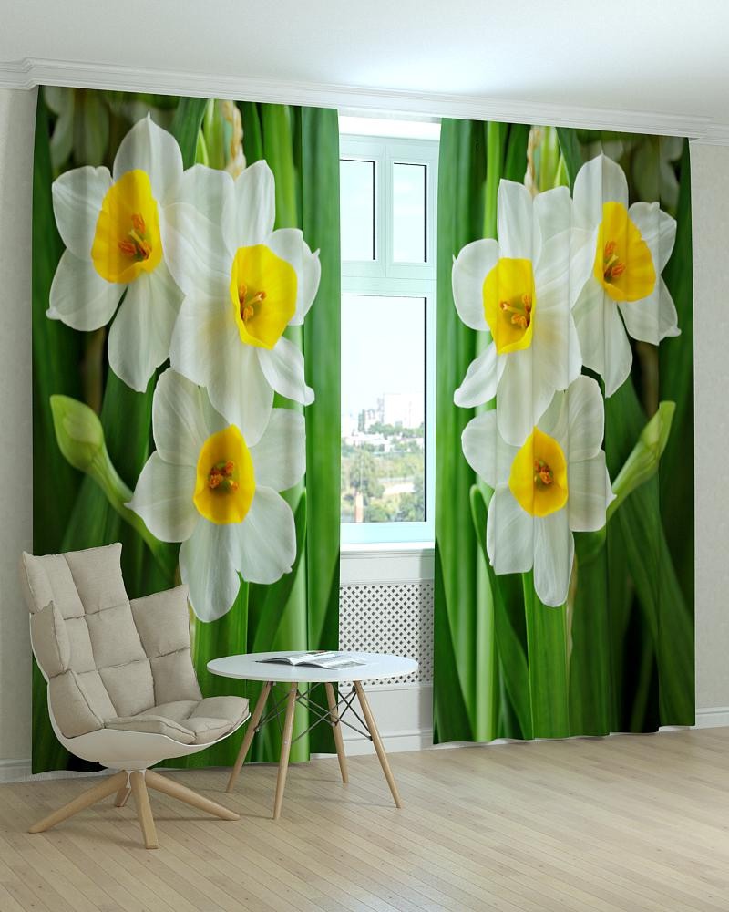 Фотоштори білі нарциси, фото 1