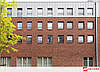 Плитка ручного формування Nelissen Passion Rosina WV 50 215х22х50, фото 5