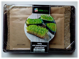 Набір для вирощування мікрозелені ЯСКРАВИЙ АКЦЕНТ (базилік фіолетовий, салат, редька)